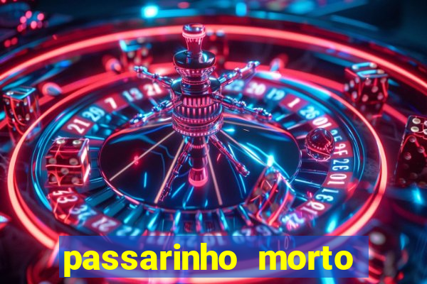 passarinho morto significado espiritual